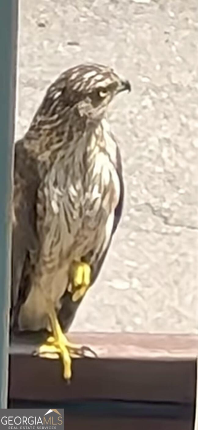 204 East Liberty Savannah, GA 31401 - Photo 62 of 78