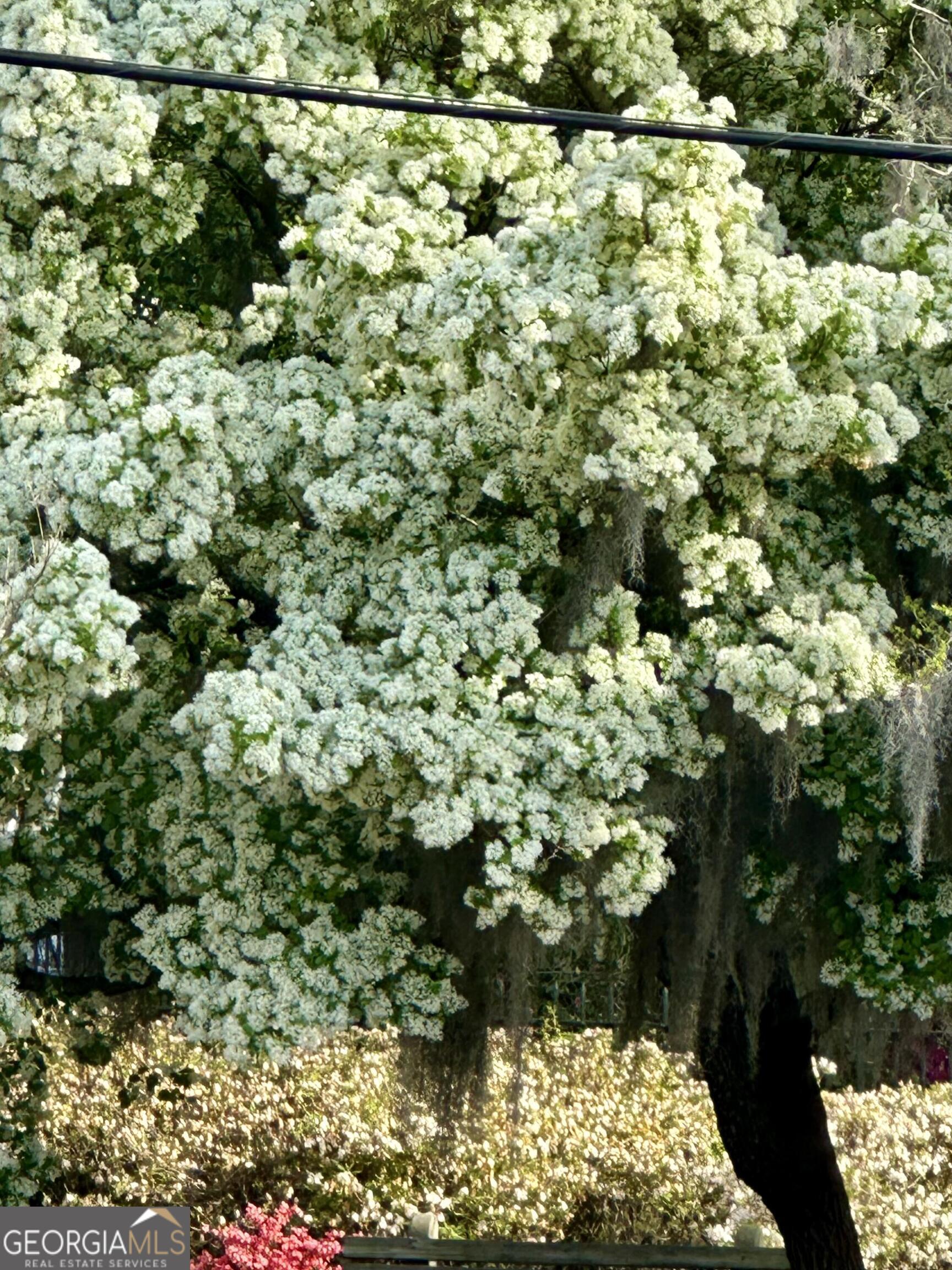 204 East Liberty Savannah, GA 31401 - Photo 64 of 78