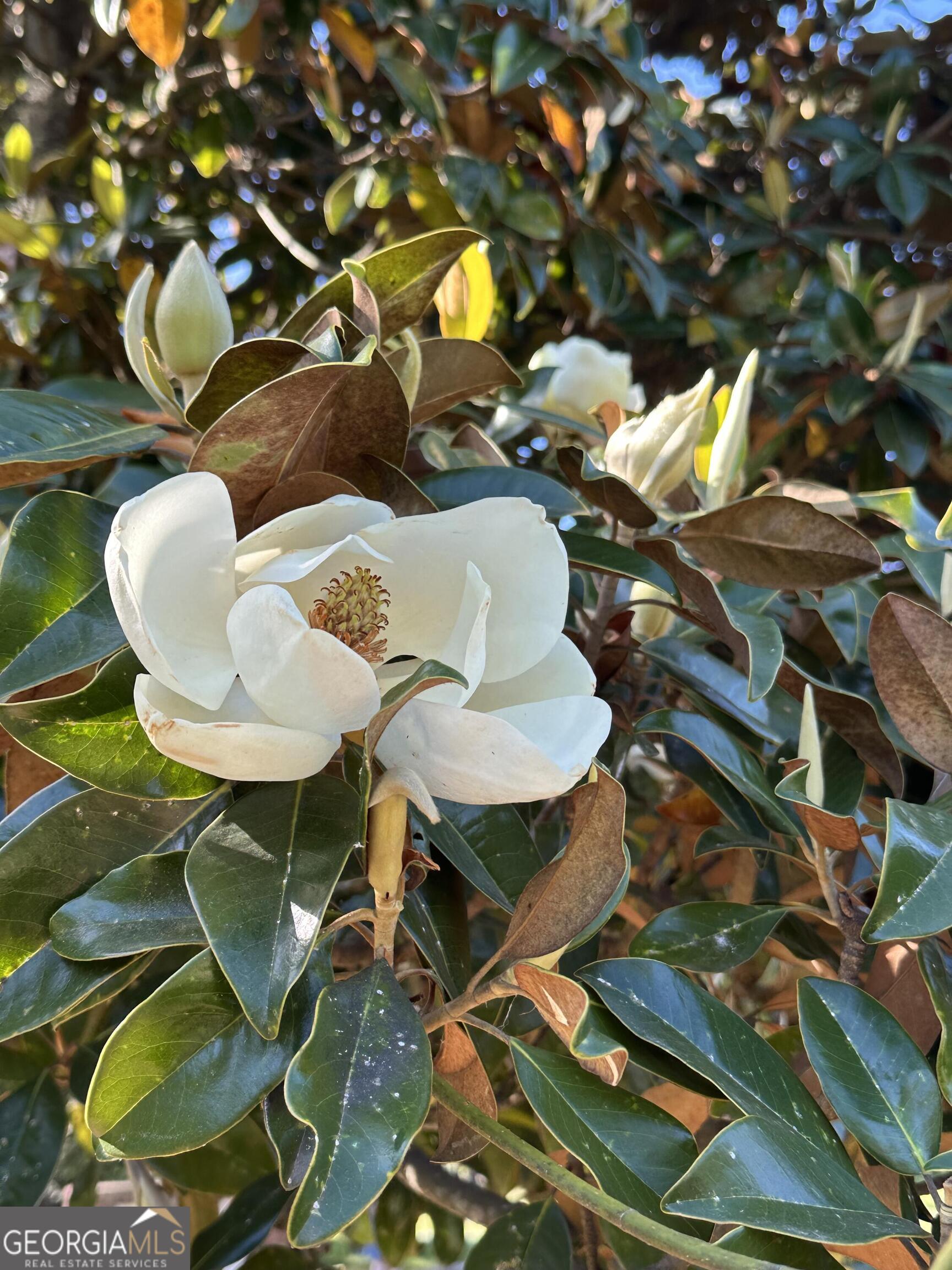 204 East Liberty Savannah, GA 31401 - Photo 67 of 78