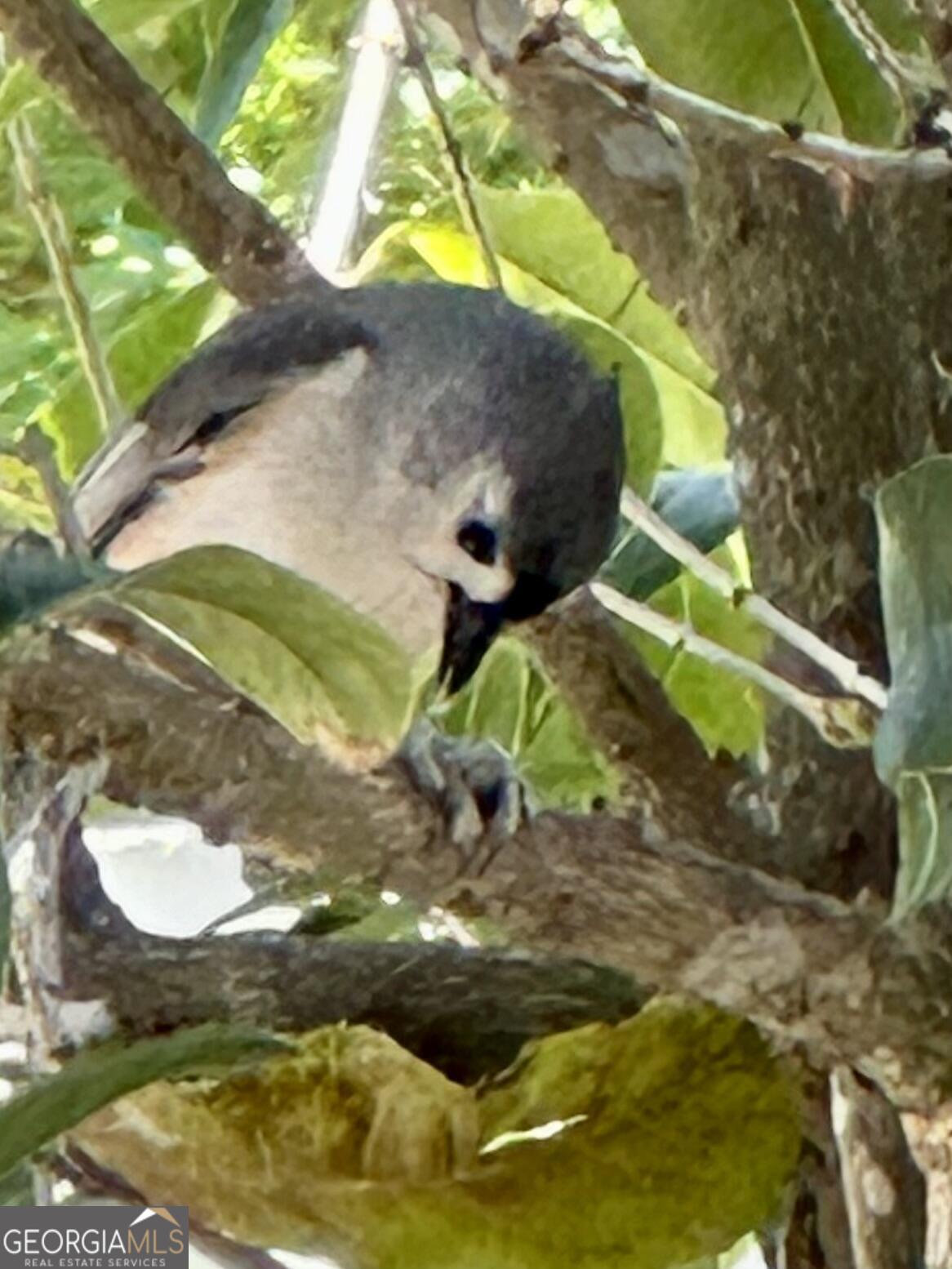 204 East Liberty Savannah, GA 31401 - Photo 68 of 78