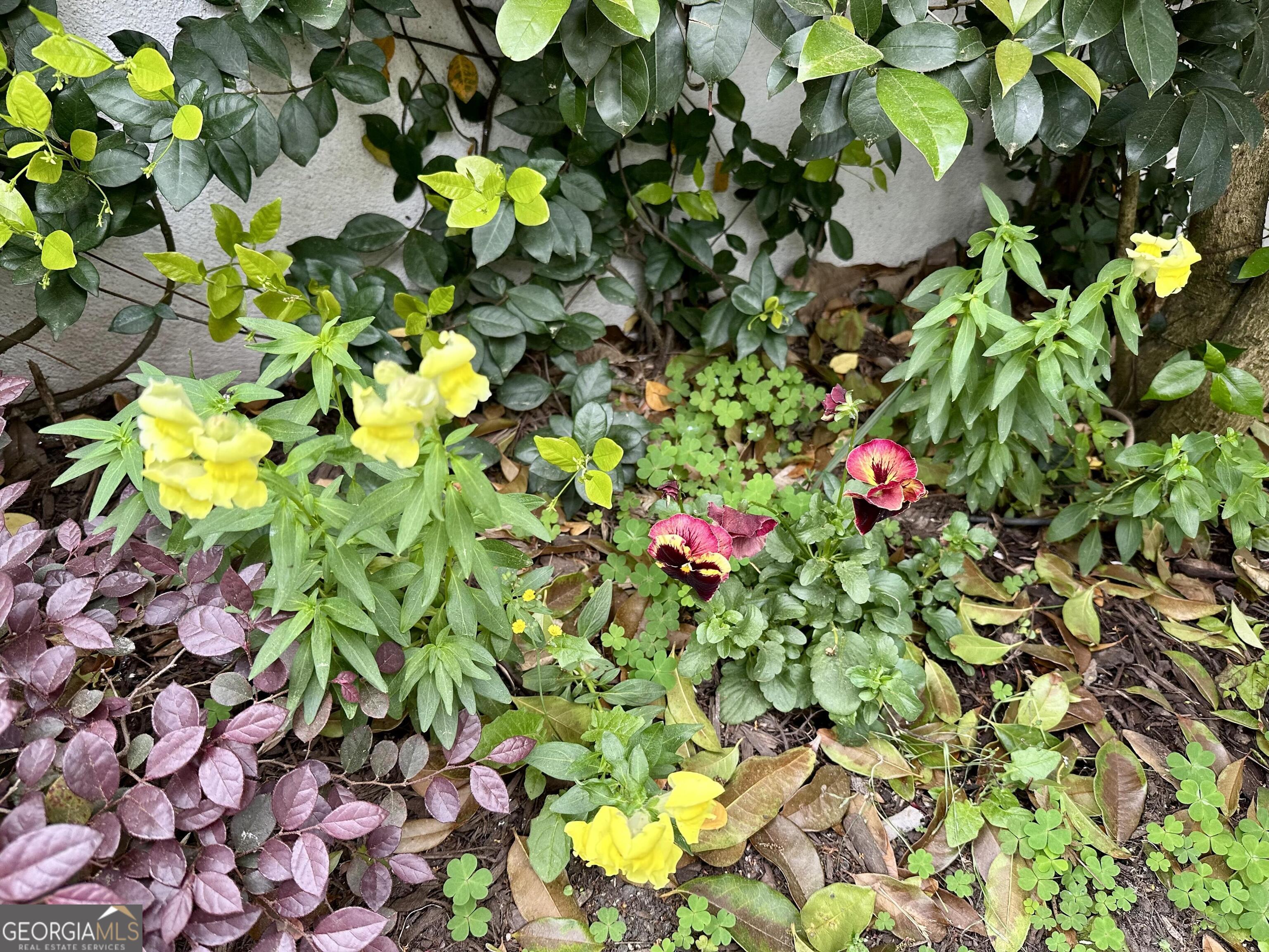 204 East Liberty Savannah, GA 31401 - Photo 69 of 78