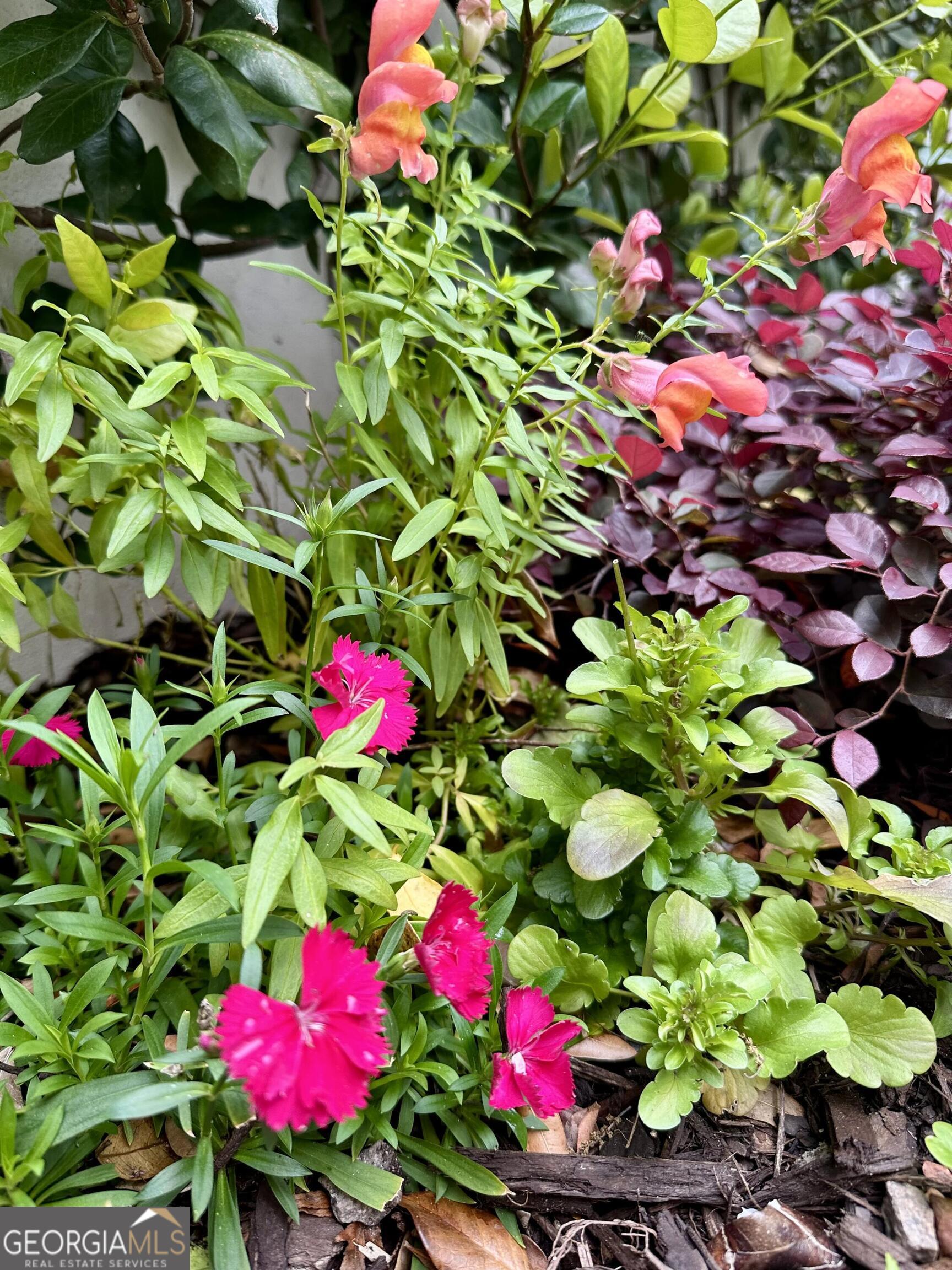 204 East Liberty Savannah, GA 31401 - Photo 70 of 78