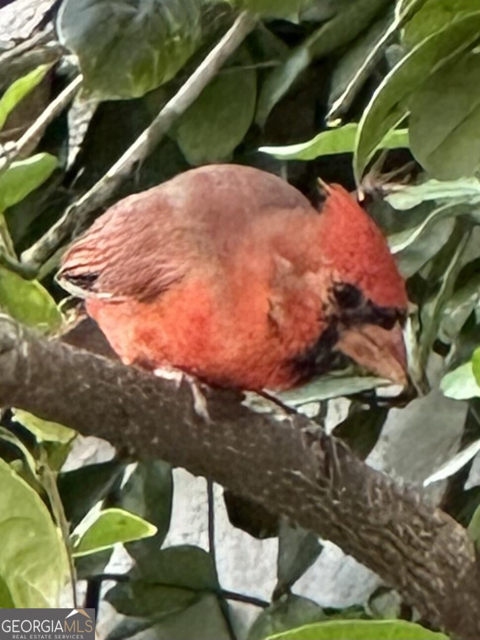 204 East Liberty Savannah, GA 31401 - Photo 72 of 78