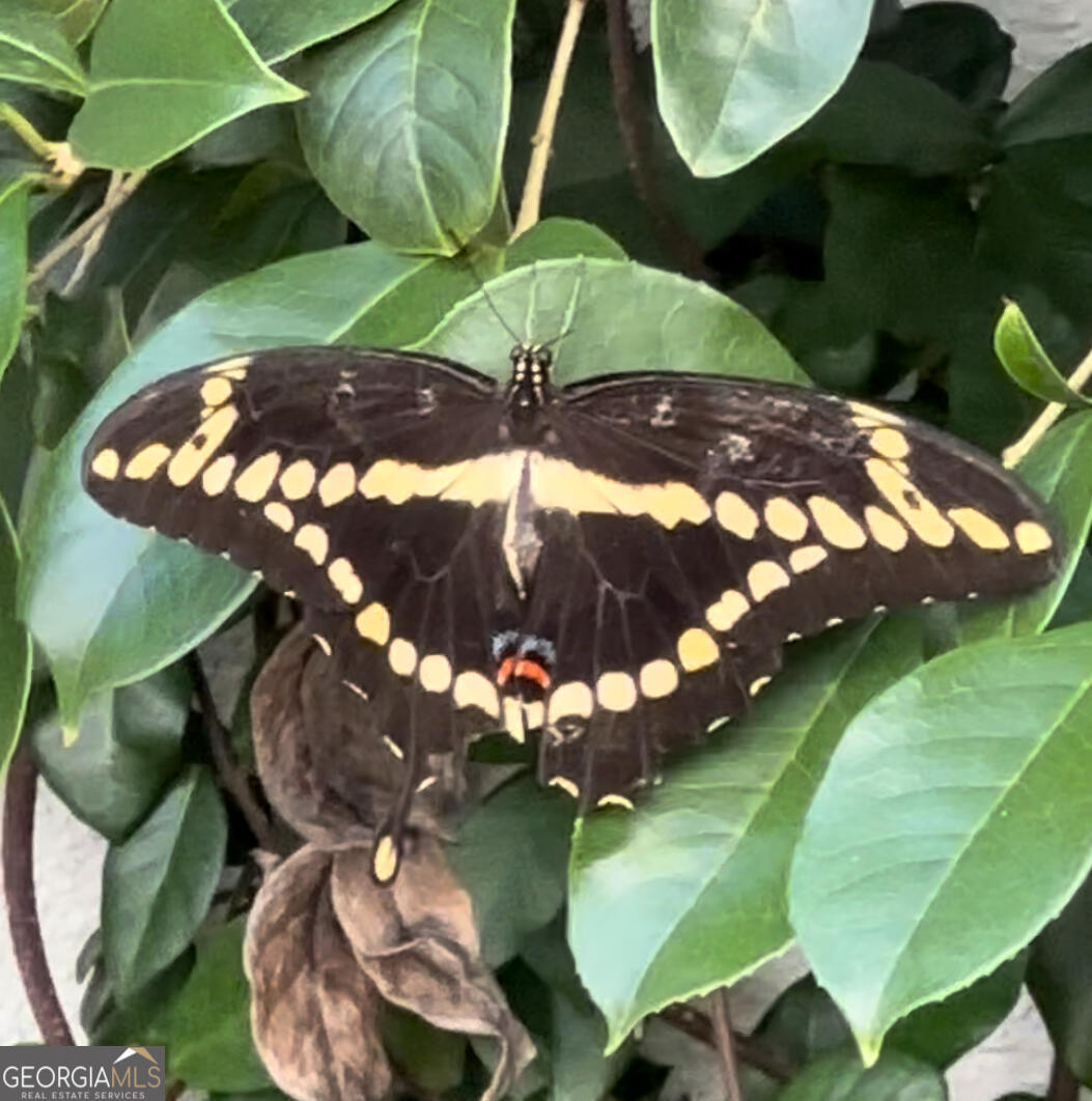 204 East Liberty Savannah, GA 31401 - Photo 74 of 78