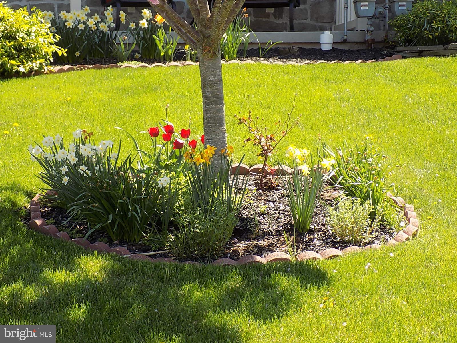 1745 Rocky Road Dover, PA 17315 - Photo 4 of 53 Gallery Image 4