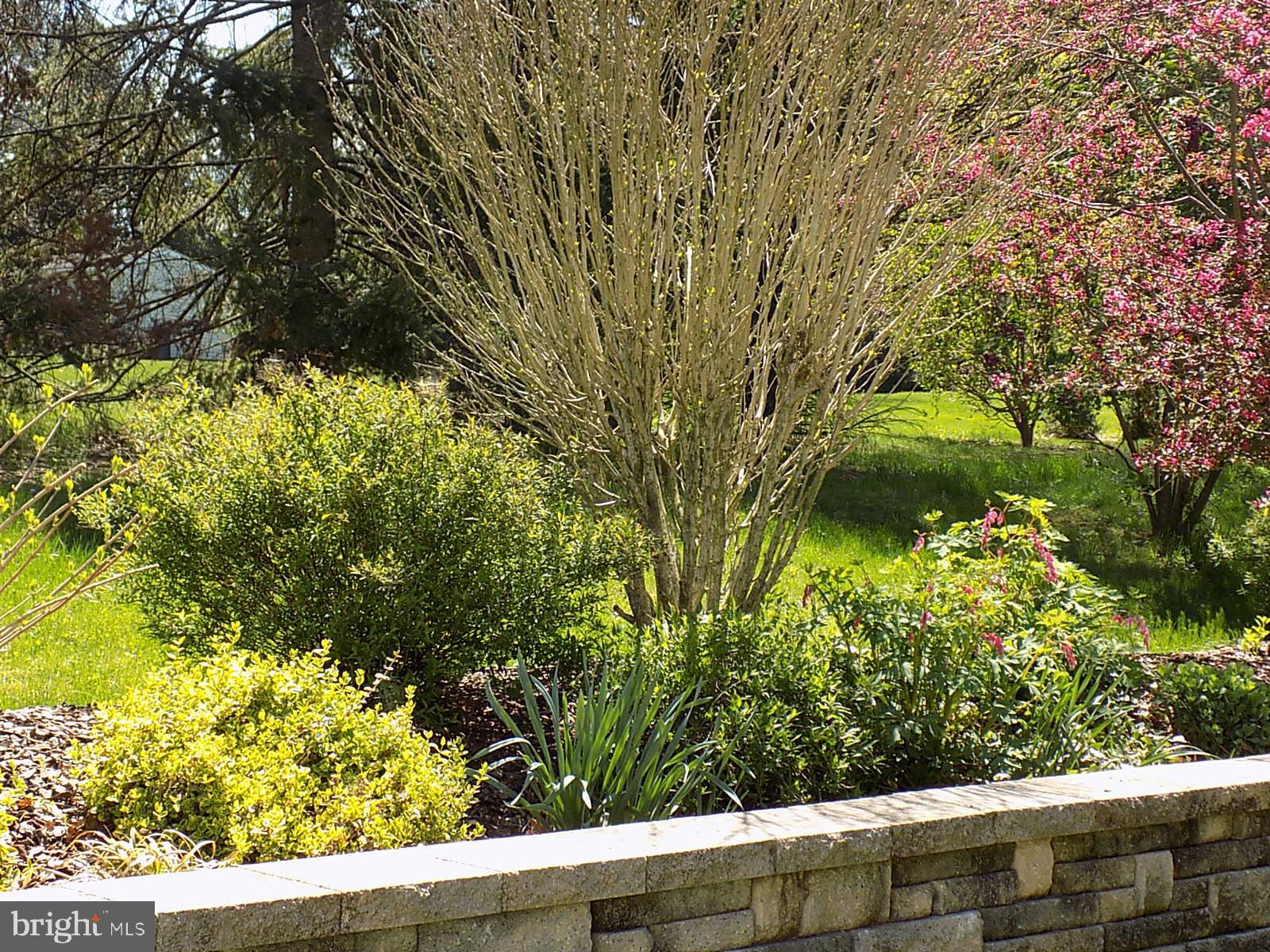 1745 Rocky Road Dover, PA 17315 - Photo 7 of 53 Gallery Image 7