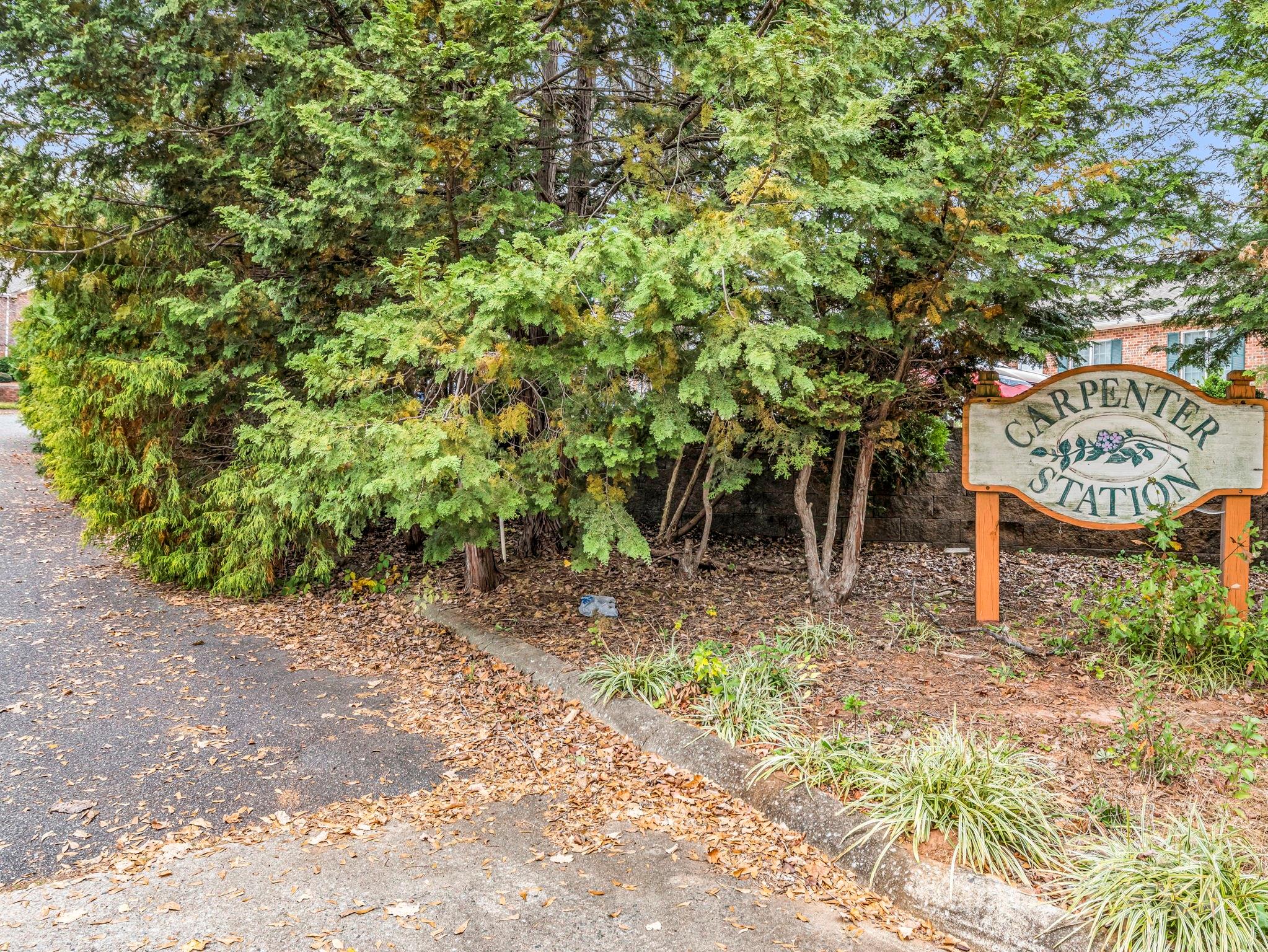 121 Carpenter Lane Rutherfordton, NC 28139 - Photo 25 of 28