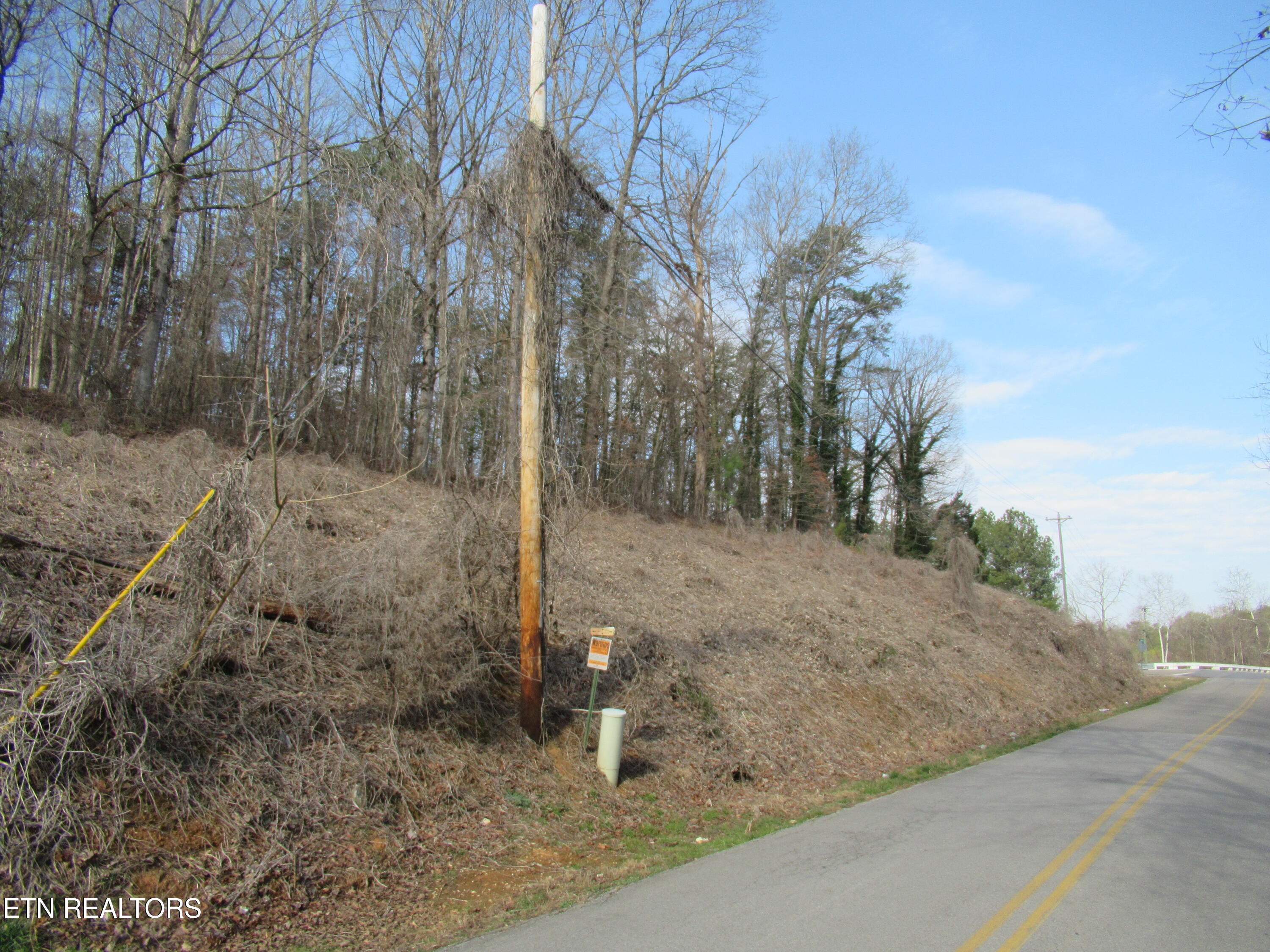 Tomotley Road Maryville, TN 37801 - Photo 9 of 12 IMG_2244
