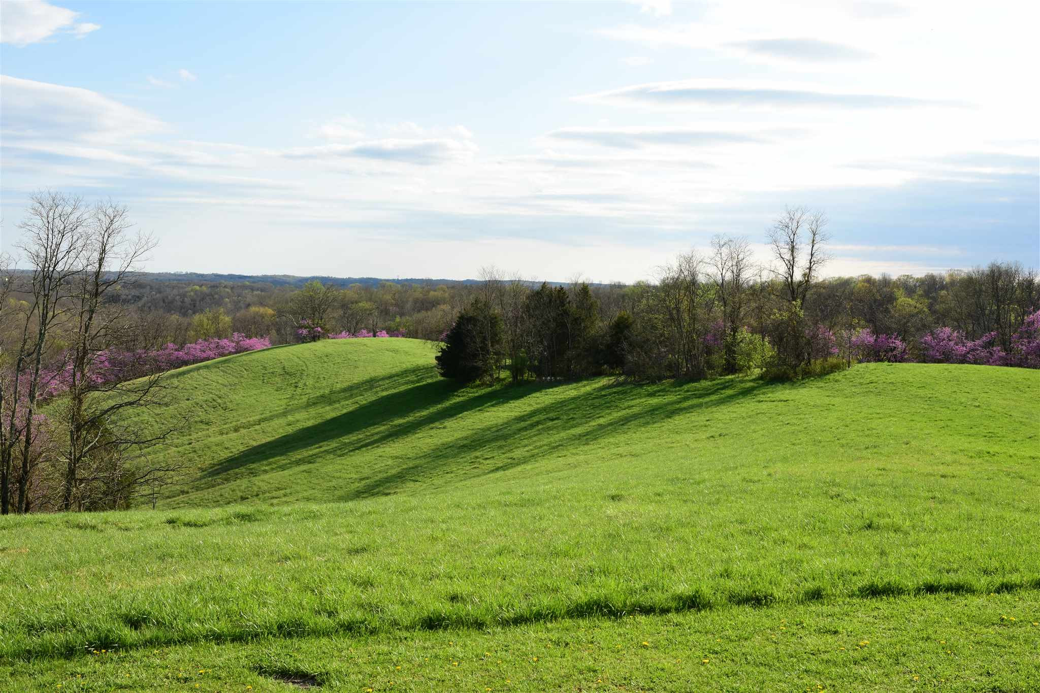 654 Belmont Road Brooksville, KY 41004 - Photo 25 of 50 Gallery Image 25