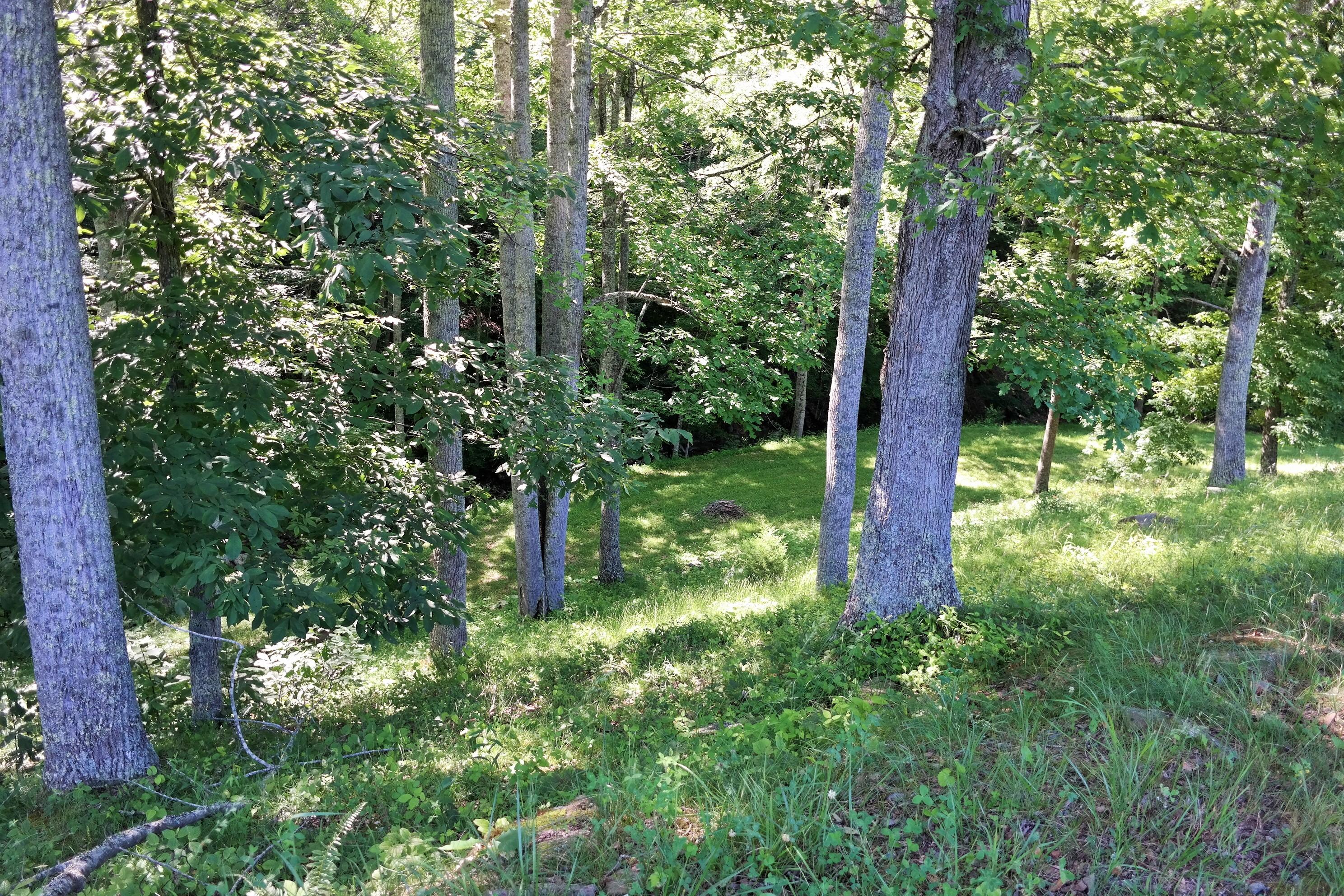 3678 Snake Run Road Alderson, WV 24910 - Photo 109 of 124 Gallery Image 109