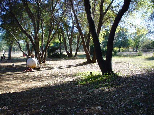 6352 Saddle Trl Road Anderson, CA 96007 - Photo 11 of 12 Land Photos
