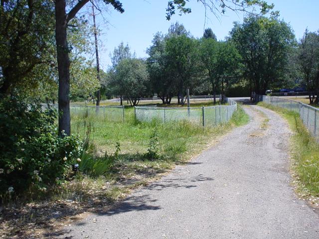 6352 Saddle Trl Road Anderson, CA 96007 - Photo 7 of 12 Driveway View