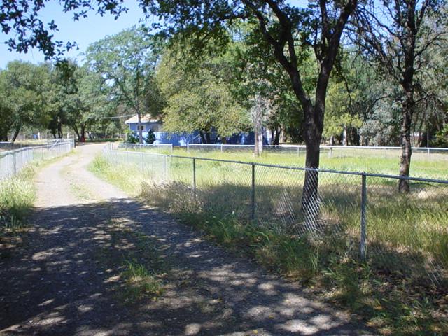 6352 Saddle Trl Road Anderson, CA 96007 - Photo 8 of 12 Driveway View