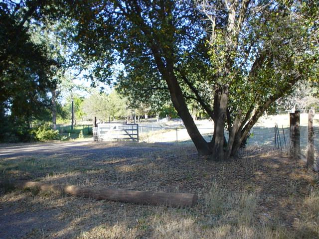 6352 Saddle Trl Road Anderson, CA 96007 - Photo 10 of 12 Land Photos