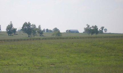 1901 Cane Ridge Road Paris, KY 40361 - Photo 4 of 8 Photo 4