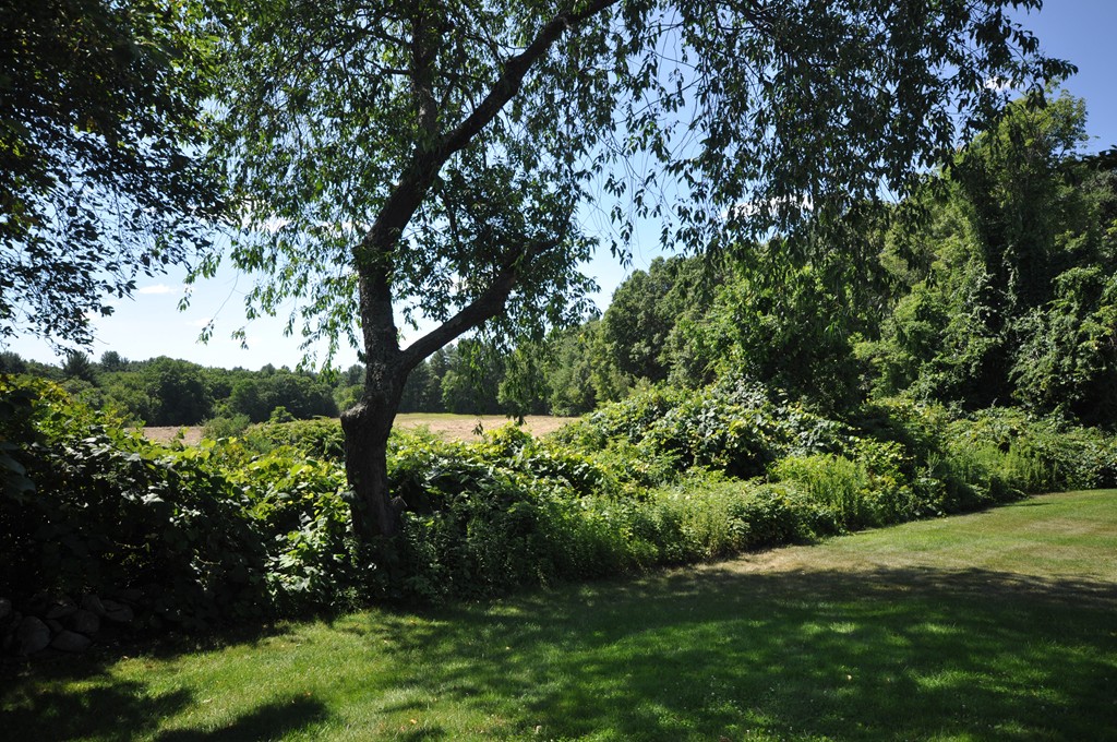 359 Pope Road Concord, MA 01742 - Photo 25 of 27