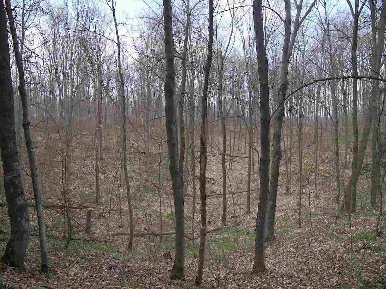 12426 South Maple City Road Maple City, MI 49664 - Photo 89 of 98 1889228-88.JPG