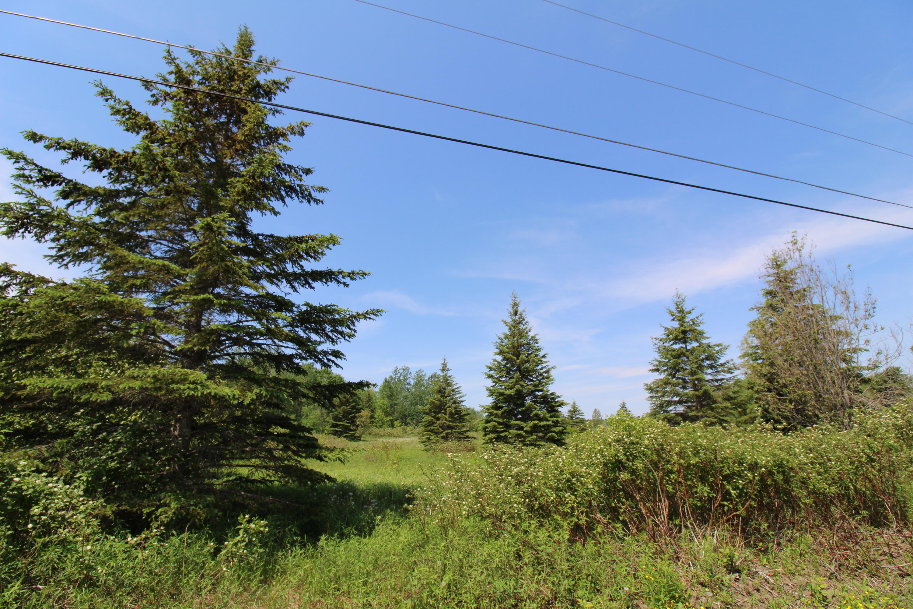 Map9-lot6 River Road Caribou, ME 04736 - Photo 8 of 8 IMG_0938