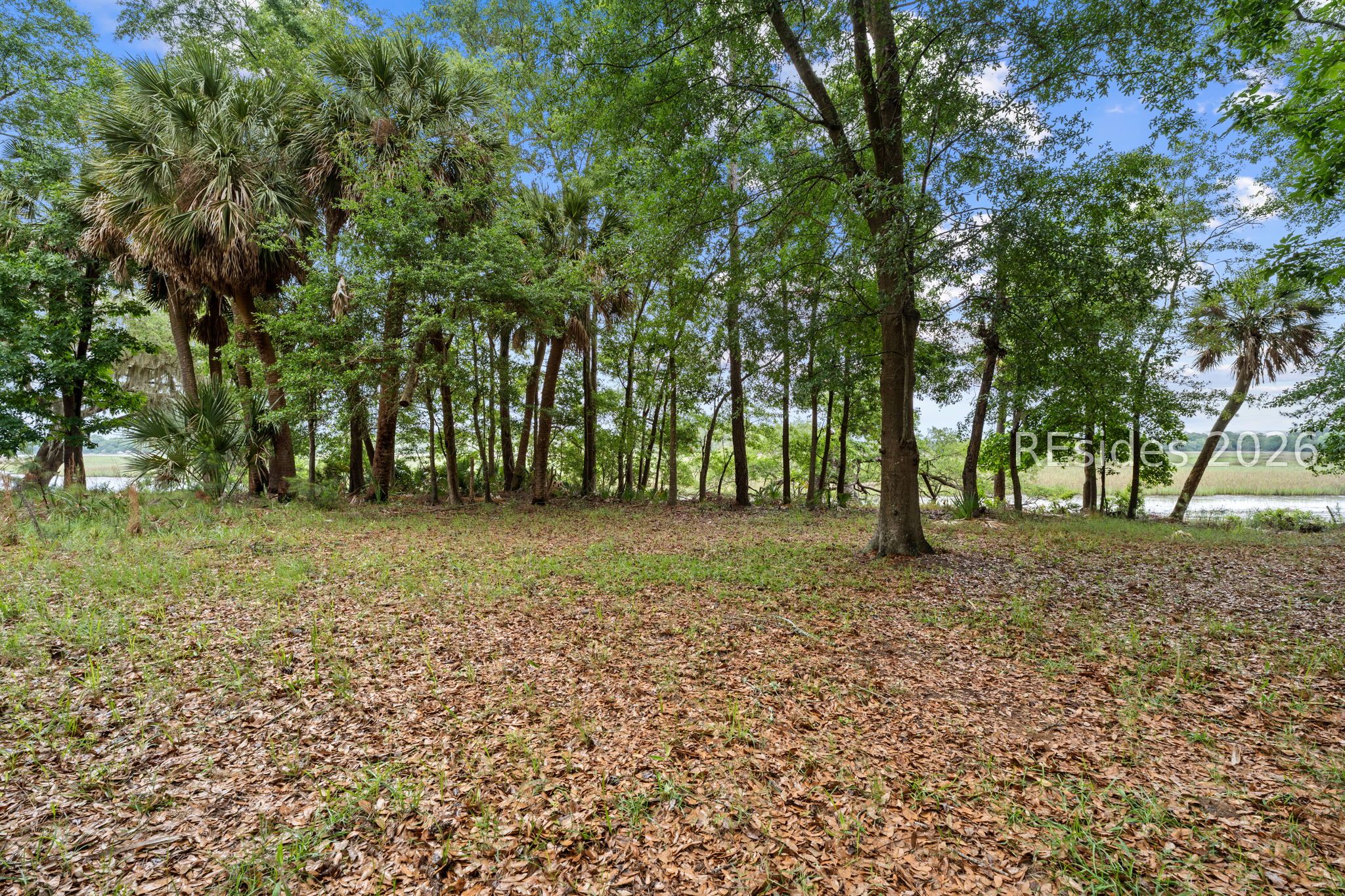 14 Palm Point Road Beaufort, SC 29907 - Photo 25 of 41