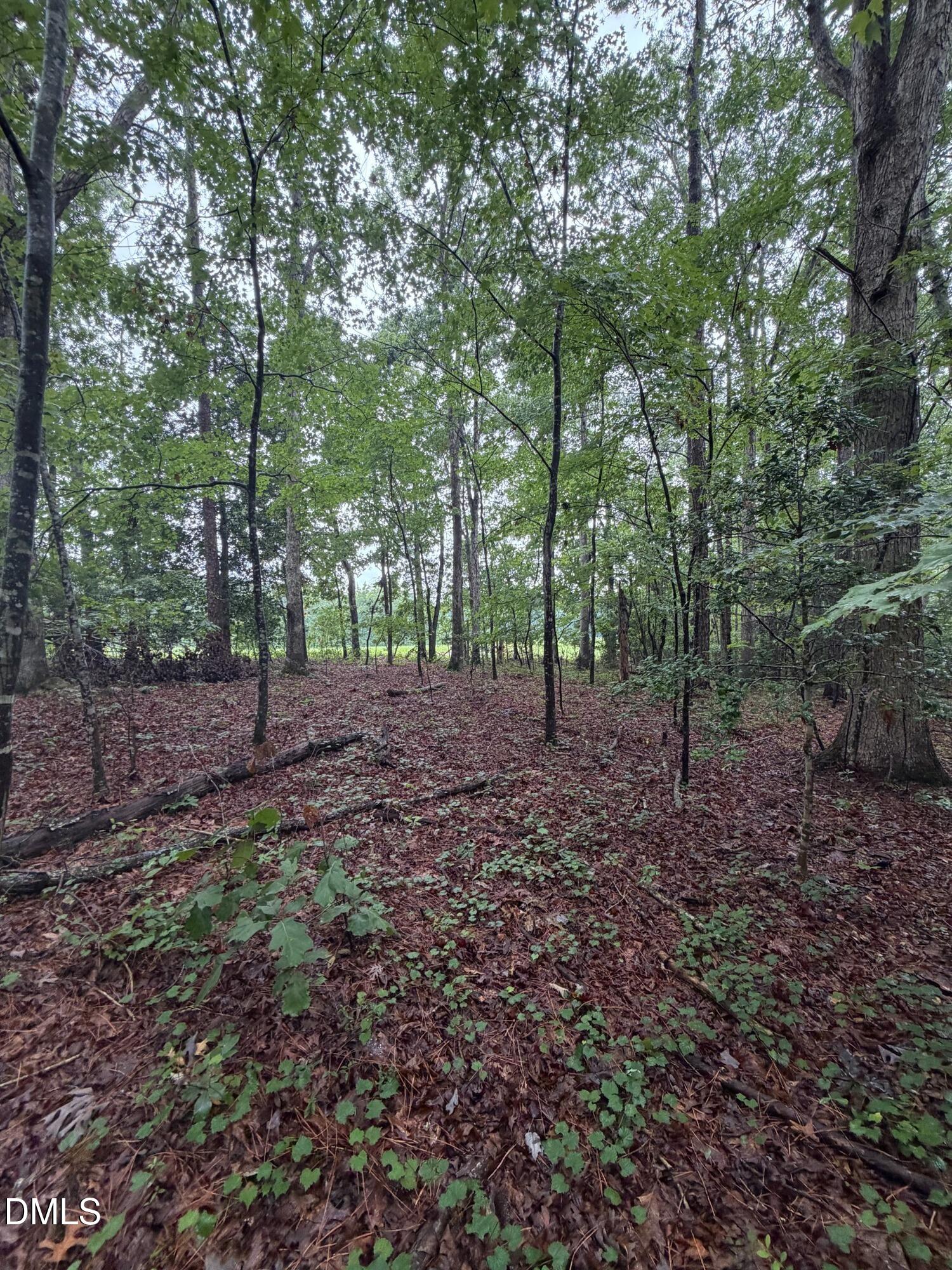 Lot 5 Claude Lewis Road Bailey, NC 27807 - Photo 6 of 16 IMG_4276(1)_MLS