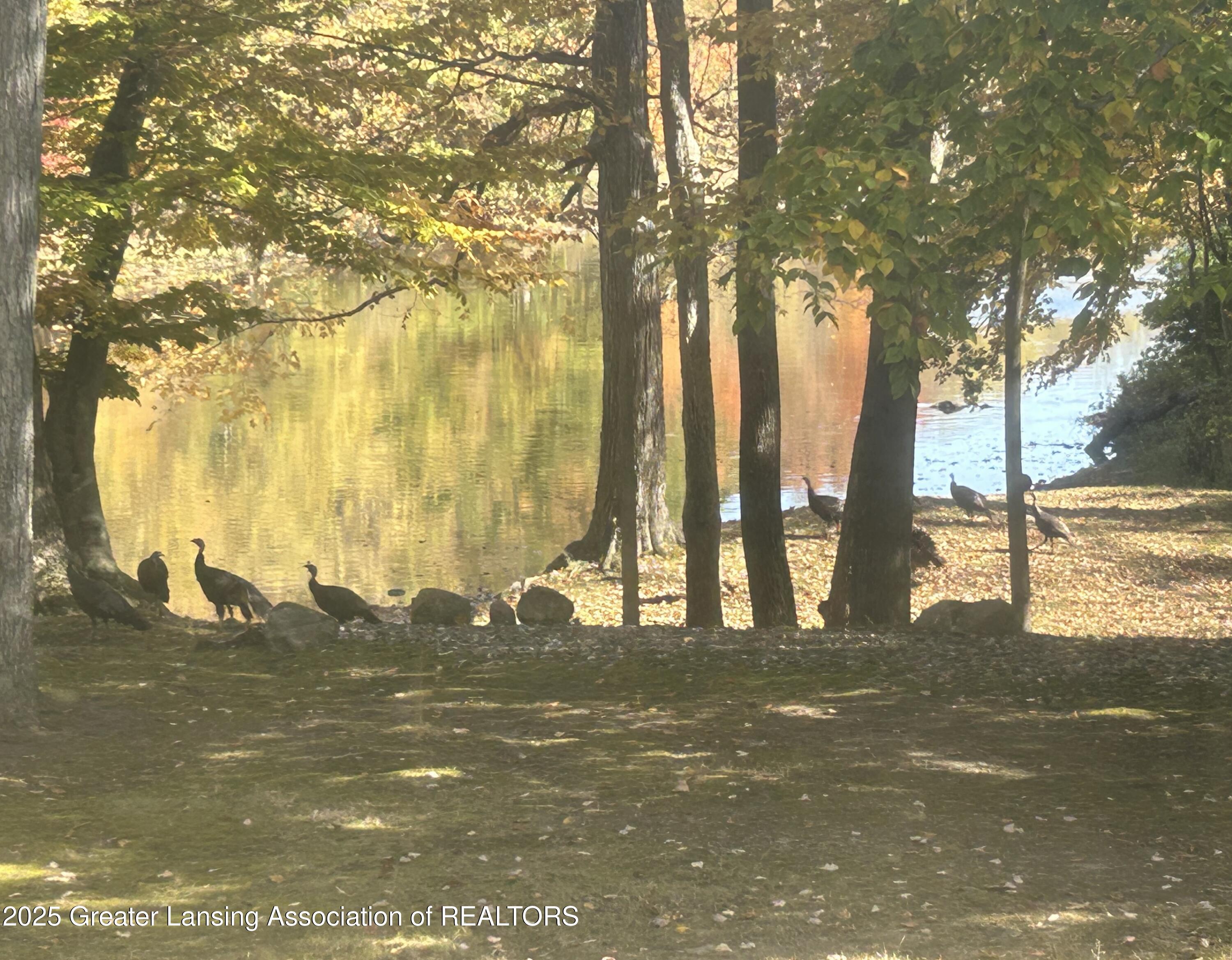 10625 Riverside Drive Dimondale, MI 48821 - Photo 51 of 56 River View & Turkeys