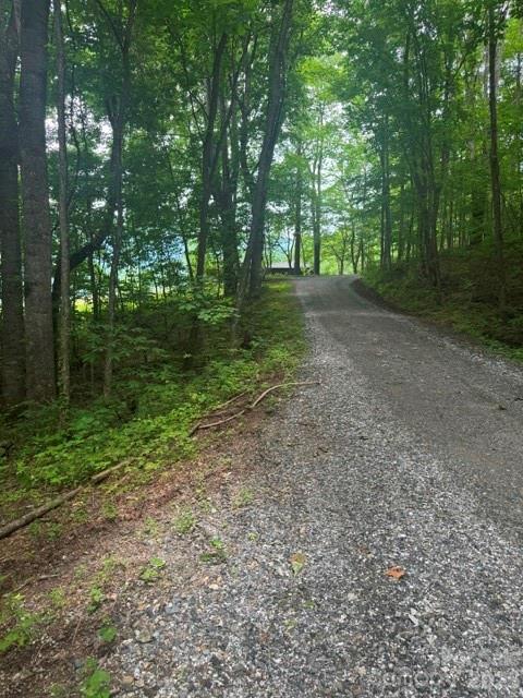0 Sugar Lf Mountain Road Marshall, NC 28753 - Photo 5 of 5