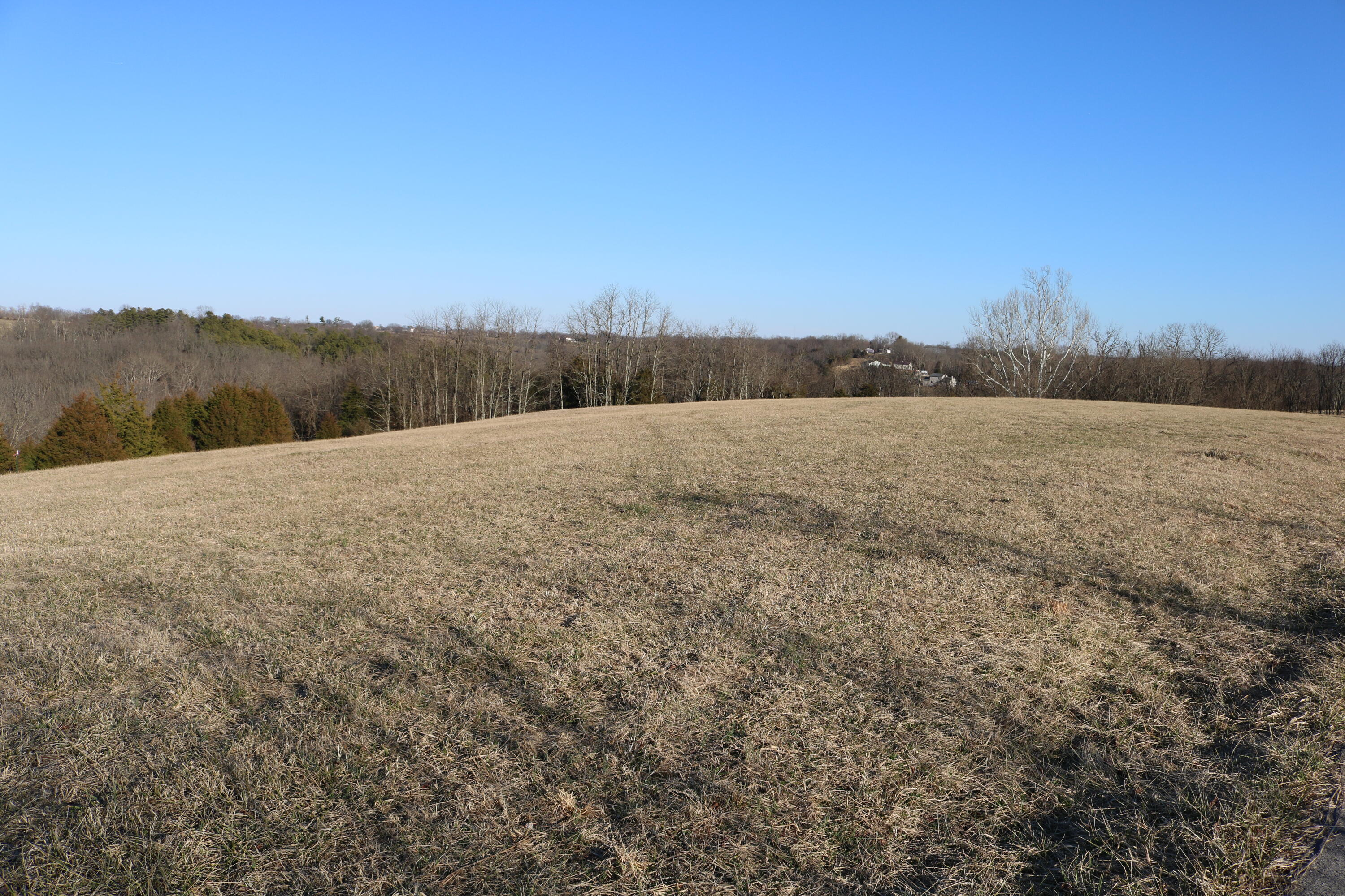 5.21-acres Vallandingham Road Dry Ridge, KY 41035 - Photo 4 of 10