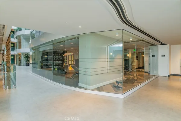 a view of a garden with potted plants