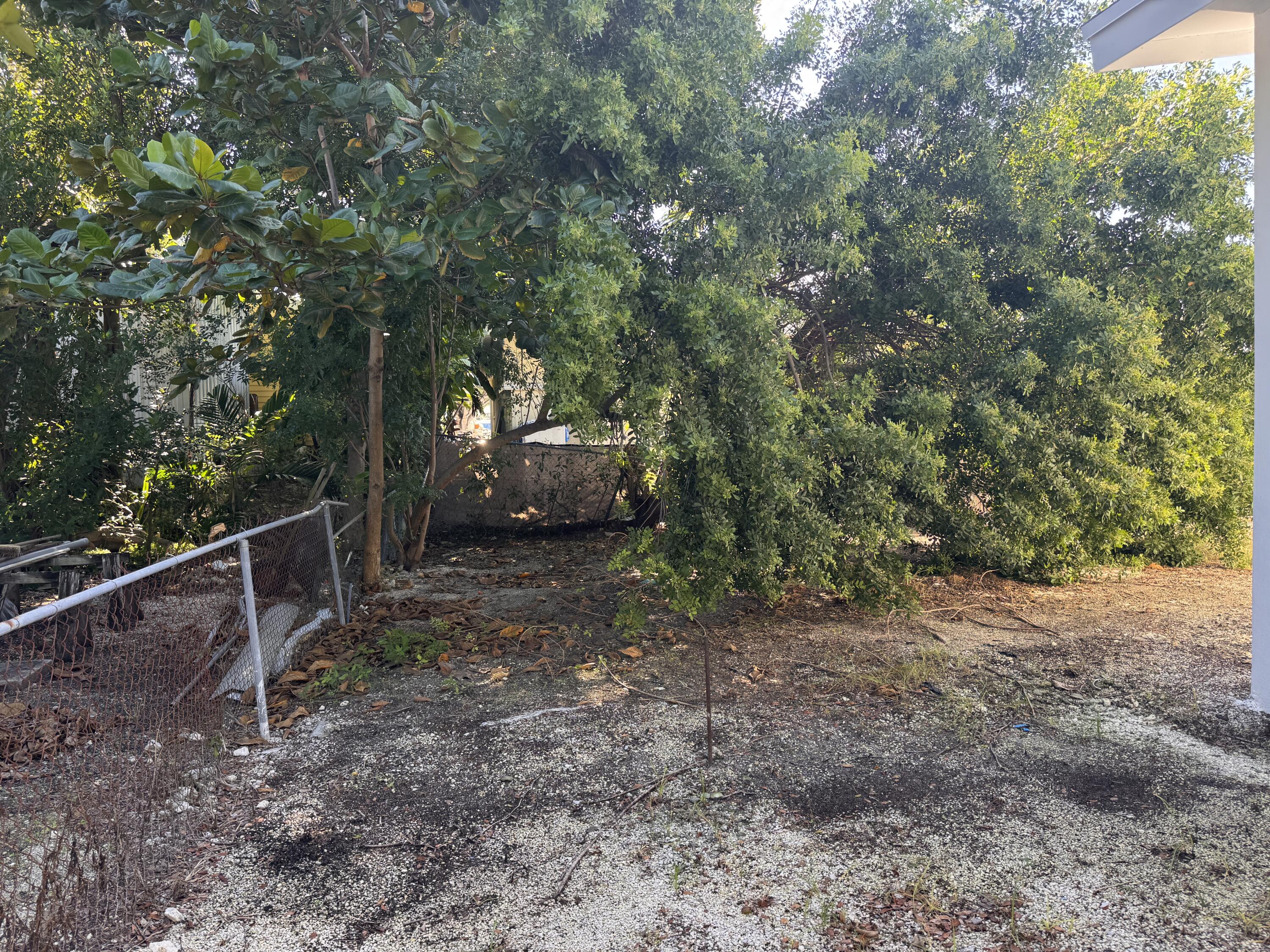 969 Plantation Road Key Largo, FL 33037 - Photo 22 of 26 a view of a yard with plants and trees