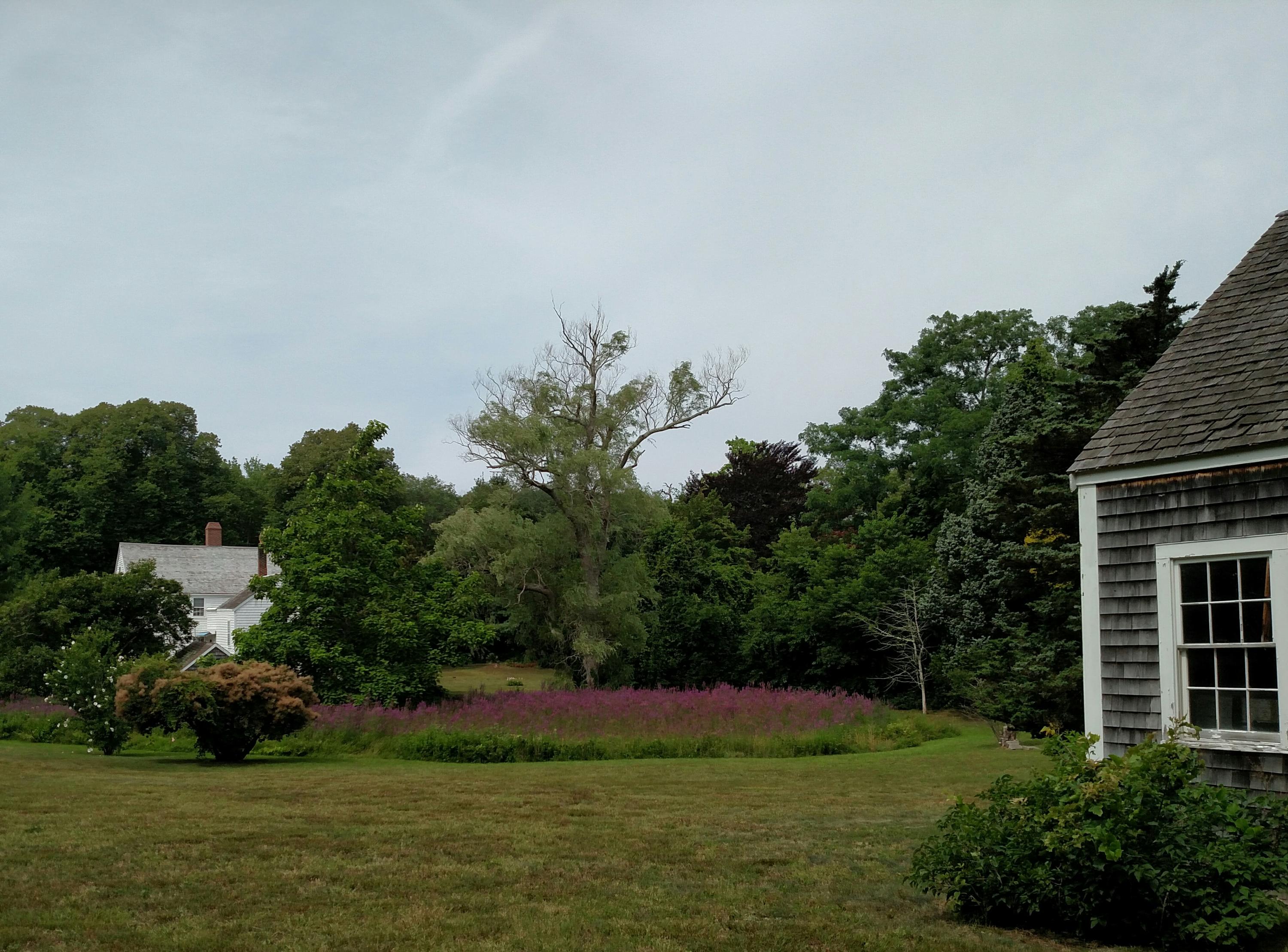 105 Spring Hill Road East Sandwich, MA 02537 - Photo 24 of 33 a view of green field with trees in the background