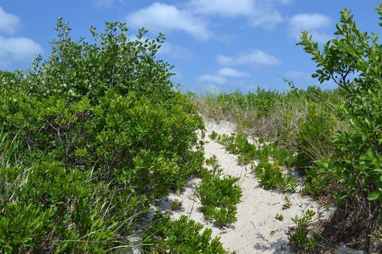 105 Spring Hill Road East Sandwich, MA 02537 - Photo 29 of 33 an aerial view of a houses with yard