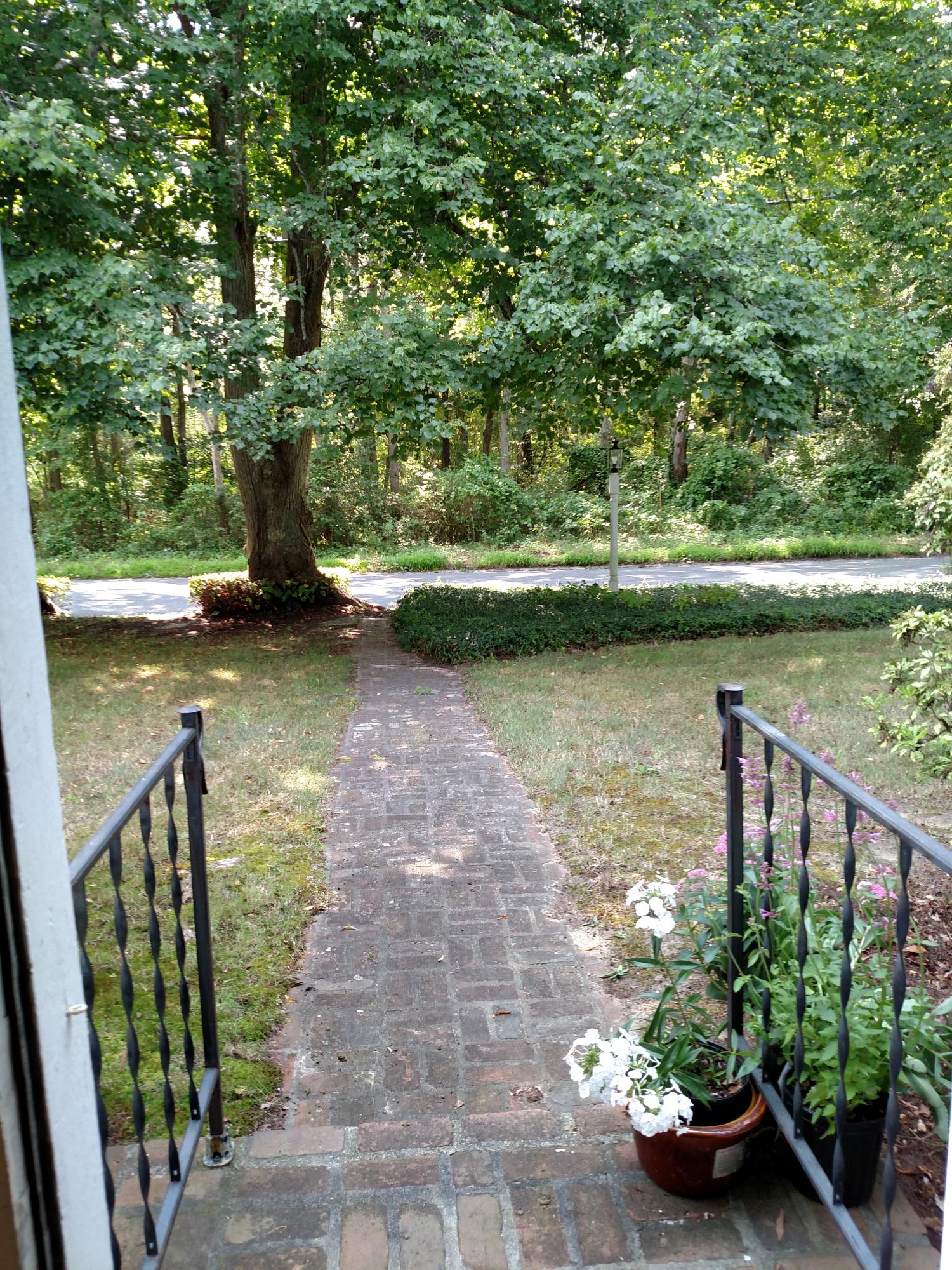 105 Spring Hill Road East Sandwich, MA 02537 - Photo 7 of 33 a view of a garden with lake