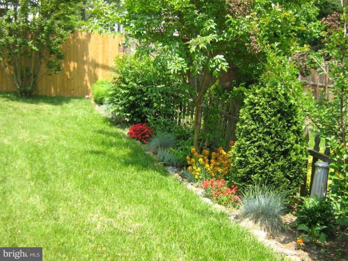 1010 St Albans Road Baltimore, MD 21239 - Photo 8 of 30 Garden