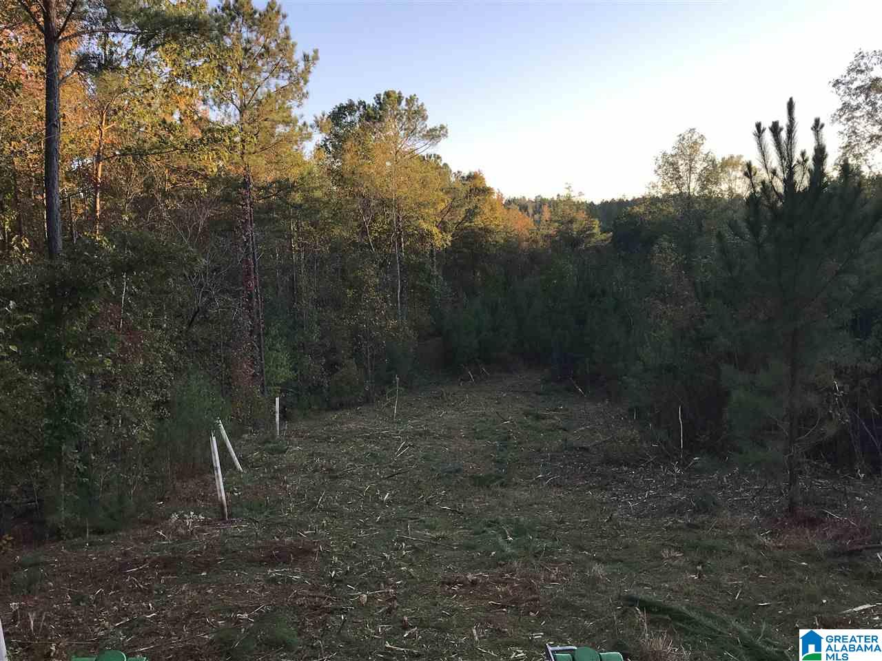0 County Road 546 Verbena, AL 36091 - Photo 13 of 13