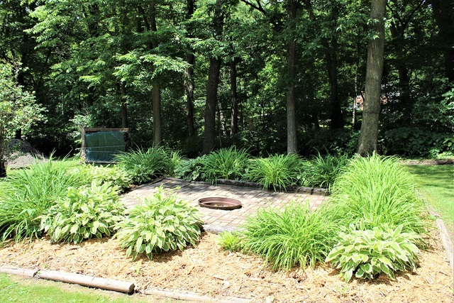 15890 Bishop Road Morrison, IL 61270 - Photo 9 of 34 a view of a garden with plants and large trees