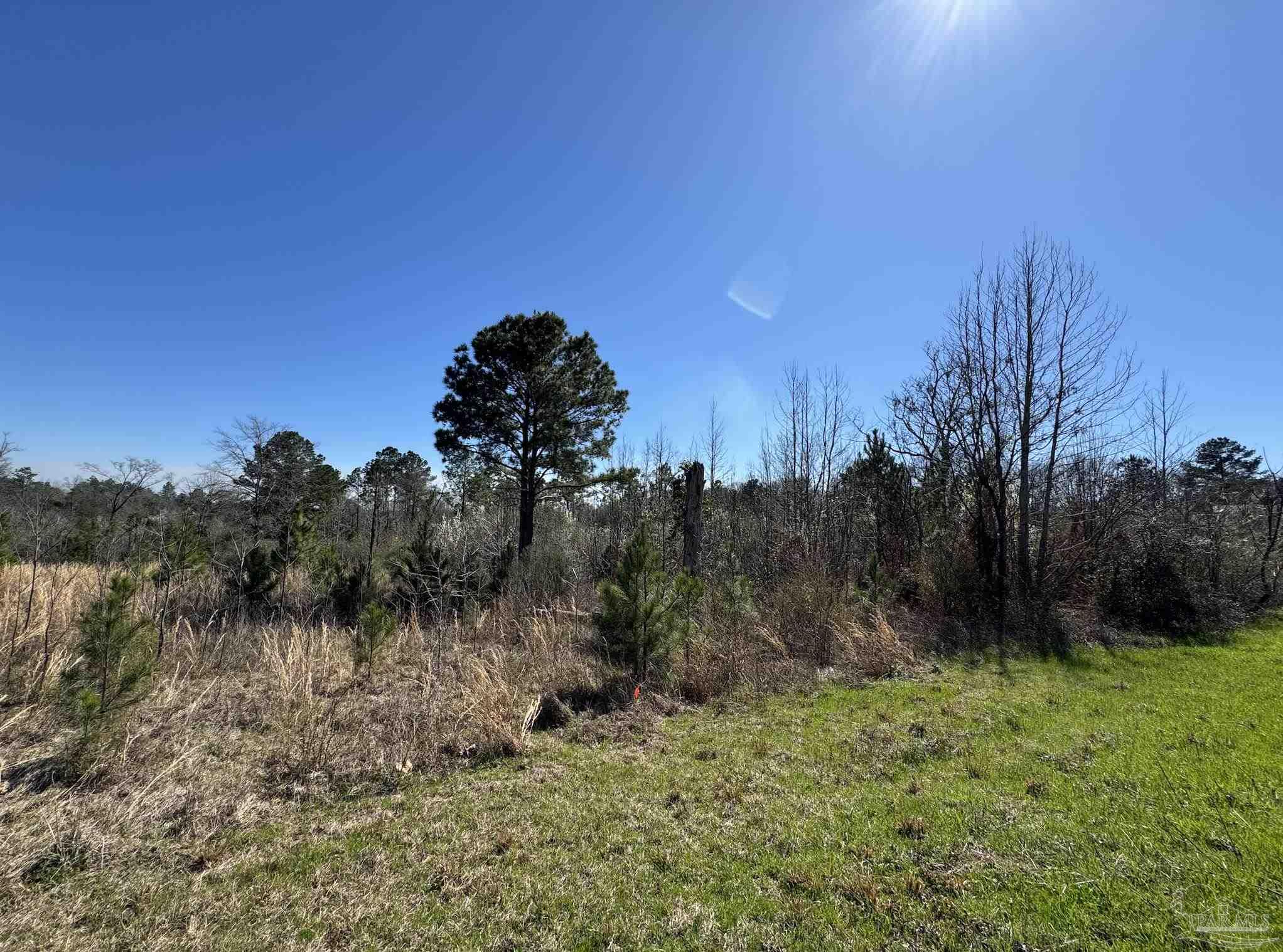 Lot 2 Will Jones Road Jay, FL 32565 - Photo 2 of 5 Gallery Image 2