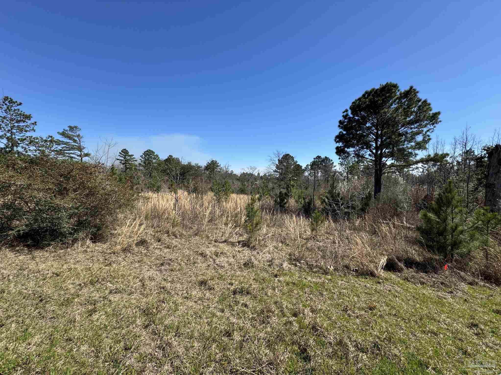Lot 2 Will Jones Road Jay, FL 32565 - Photo 3 of 5 Gallery Image 3