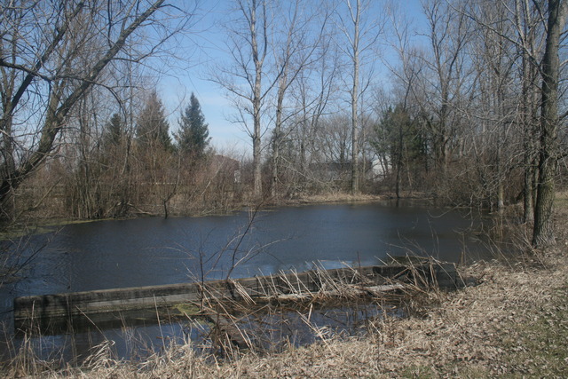 3N545 Freeland Road Maple Park, IL 60151 - Photo 17 of 20