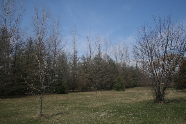 3N545 Freeland Road Maple Park, IL 60151 - Photo 19 of 20
