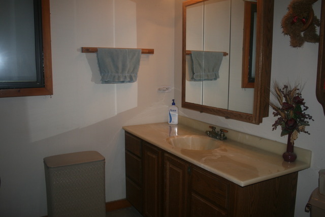 3N545 Freeland Road Maple Park, IL 60151 - Photo 8 of 20