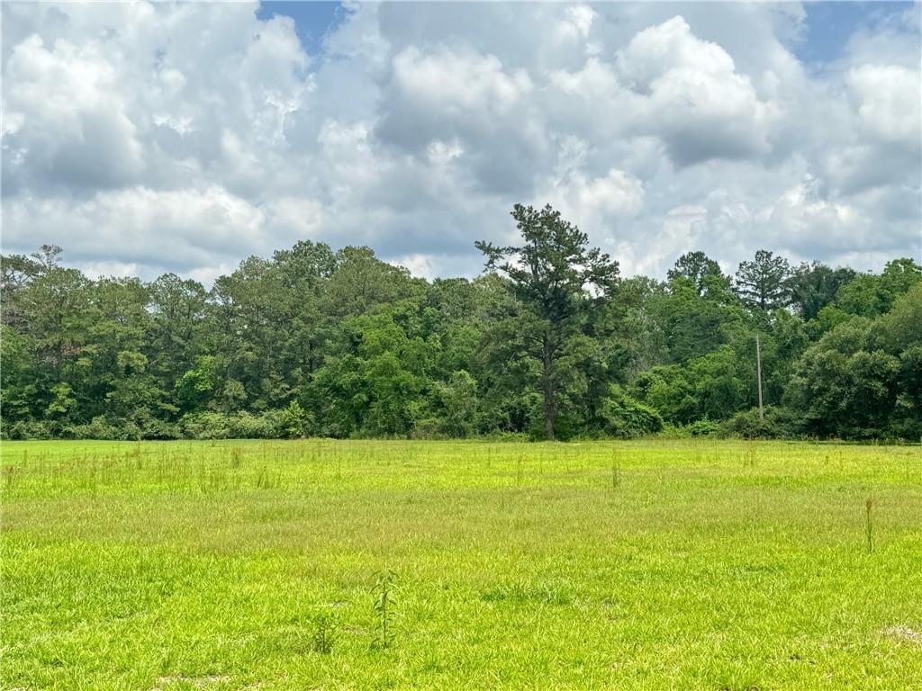 Tract X-1 B North Stevendale Road Baton Rouge, LA 70819 - Photo 2 of 7 Gallery Image 2