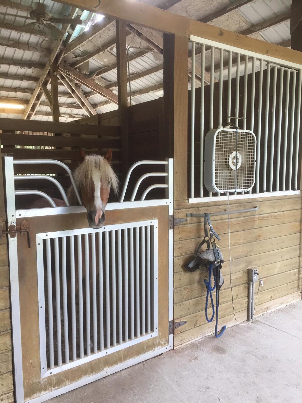 2141 B Road Loxahatchee, FL 33470 - Photo 20 of 21 IMG_2848