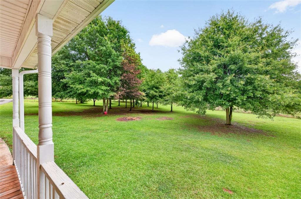 602 Pendergrass Road Winder, GA 30680 - Photo 8 of 44 a view of a yard with a tree