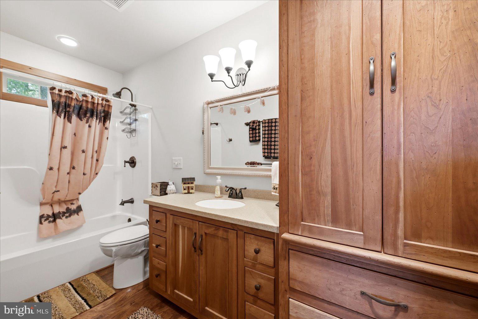 2315 Ritter Drive Yellow Spring, WV 26865 - Photo 24 of 90 Bathroom main level