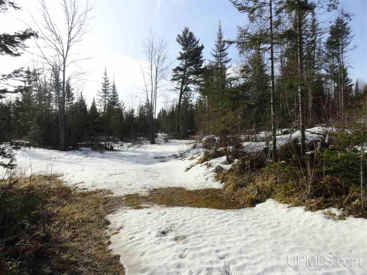 116-acres 116-acres Co Road Negaunee, MI 49866 - Photo 30 of 37