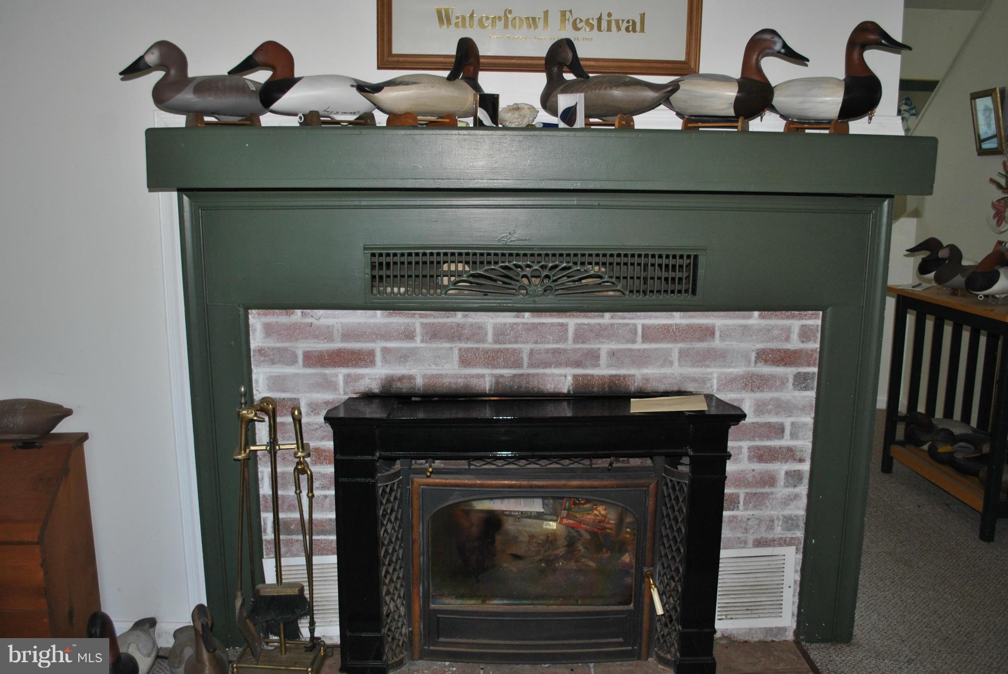 Wood burning fireplace