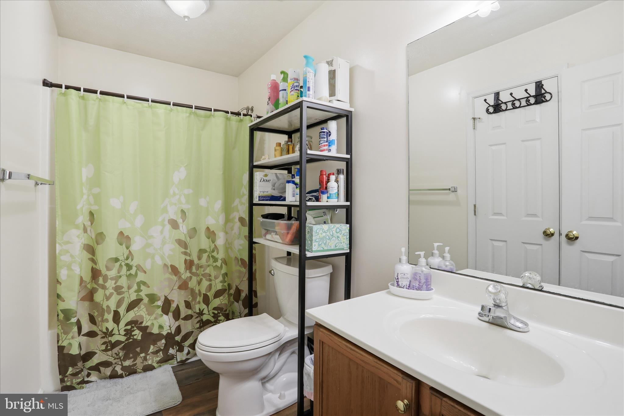 1441 Country Brook Road Toms Brook, VA 22660 - Photo 14 of 45 Hall bathroom
