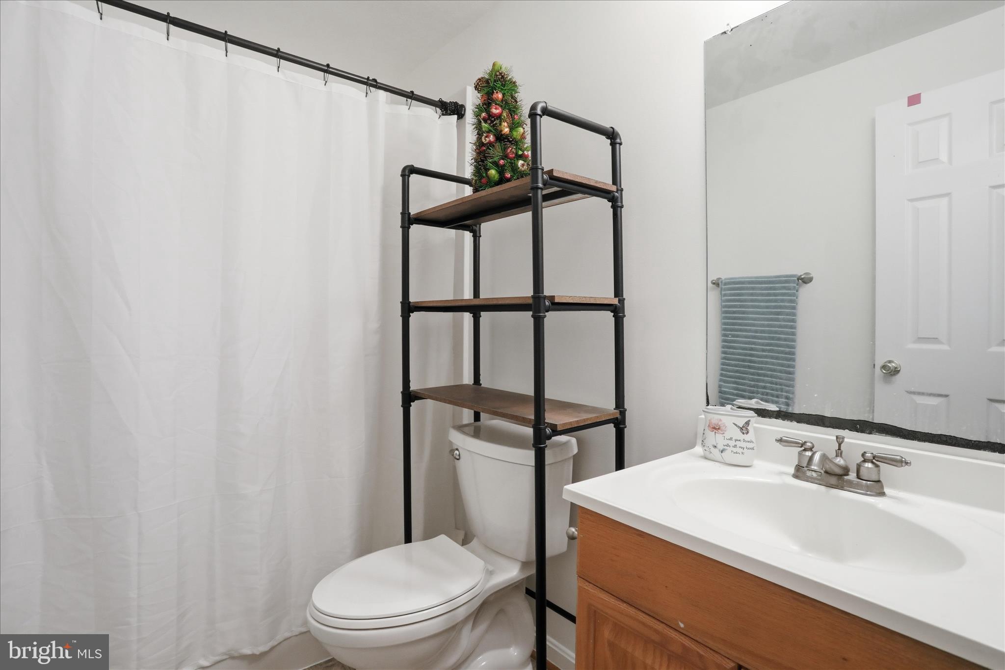 1441 Country Brook Road Toms Brook, VA 22660 - Photo 27 of 45 Basement Bathroom
