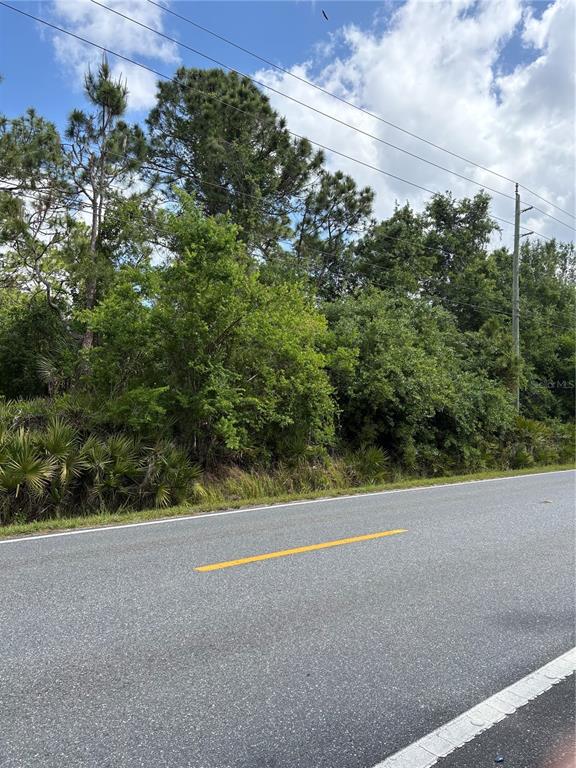 East Osceola Road Geneva, FL 32732 - Photo 4 of 4