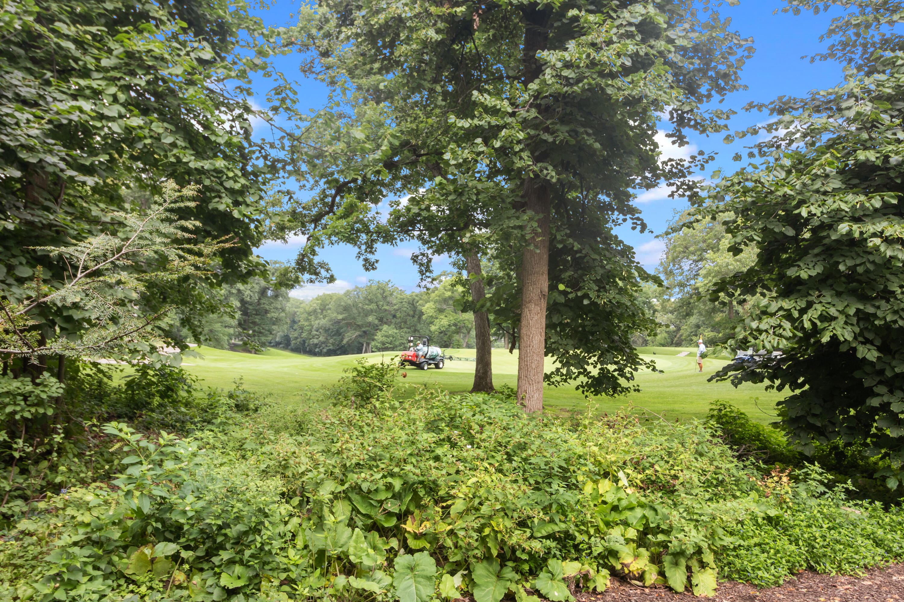 404 Deerpath West, Unit D Fontana, WI 53125 - Photo 15 of 28 View form deck.